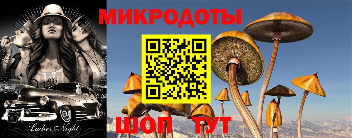 Галлюциногенные грибы MAGIC MUSHROOMS Соль-Илецк
