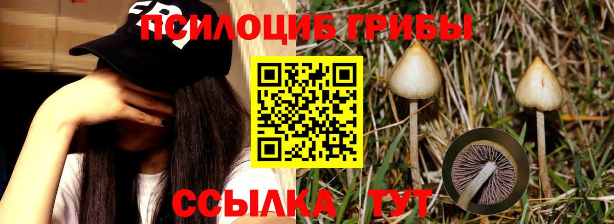 Галлюциногенные грибы MAGIC MUSHROOMS  Псилоцибиновые грибы Psilocybine cubensis  Соль-Илецк  Вход с VPN 