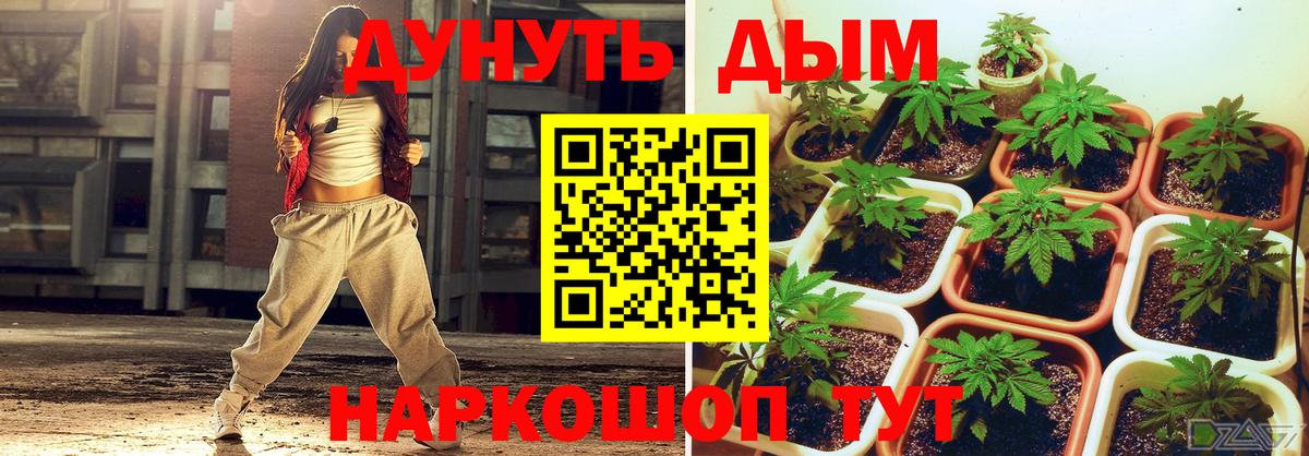 Бошки марихуана VHQ  Вход с VPN  Канабис VHQ  Каннабис VHQ  Соль-Илецк  Конопля LSD WEED 